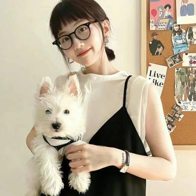 机智的山村生活
